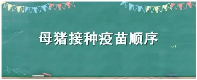 母猪接种疫苗顺序 | 农业问题