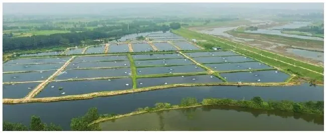 氯化钙水产养殖用法用量 | 生活常识