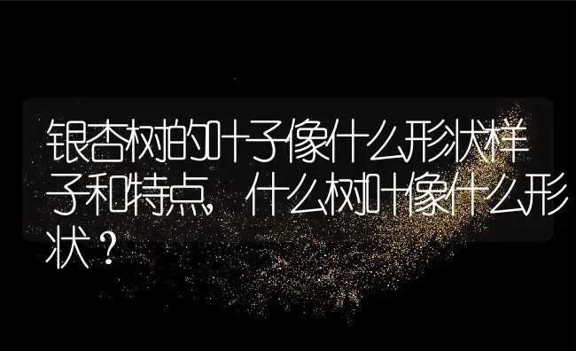 银杏树的叶子像什么形状样子和特点,什么树叶像什么形状？ | 养殖常见问题