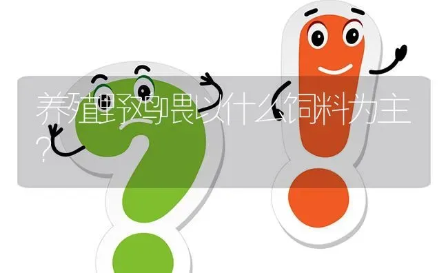 养殖野鸡喂以什么饲料为主? | 养殖问题解答