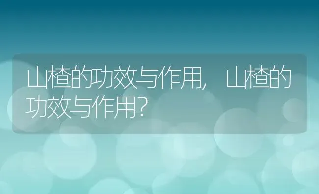 山楂的功效与作用,山楂的功效与作用？ | 养殖常见问题