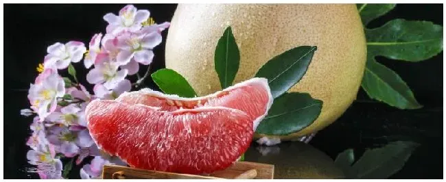 什么时候嫁接红心柚 | 农业问题