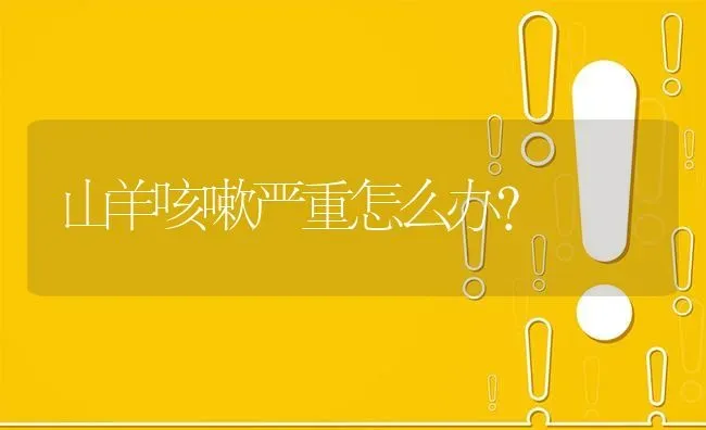 山羊咳嗽严重怎么办? | 养殖问题解答