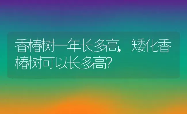 香椿树一年长多高,矮化香椿树可以长多高？ | 养殖常见问题