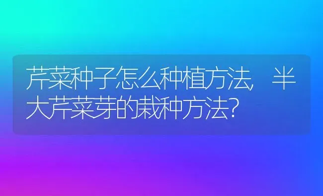 芹菜种子怎么种植方法,半大芹菜芽的栽种方法？ | 养殖常见问题