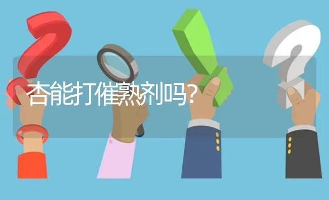 杏能打催熟剂吗? | 养殖问题解答