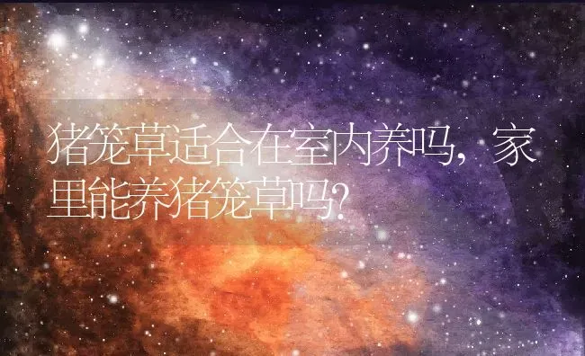 猪笼草适合在室内养吗,家里能养猪笼草吗？ | 养殖常见问题