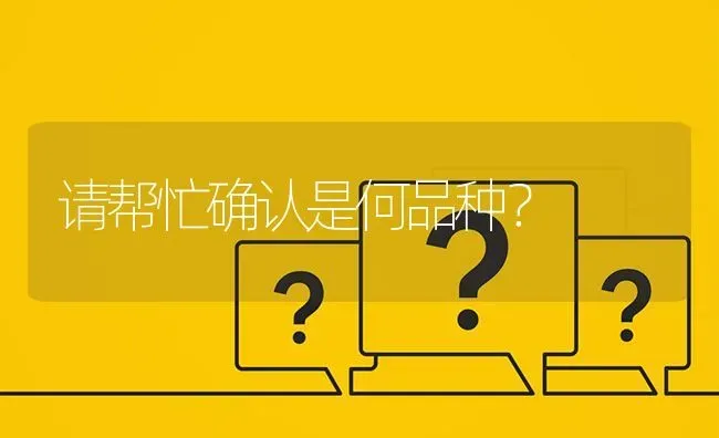 请帮忙确认是何品种? | 养殖问题解答