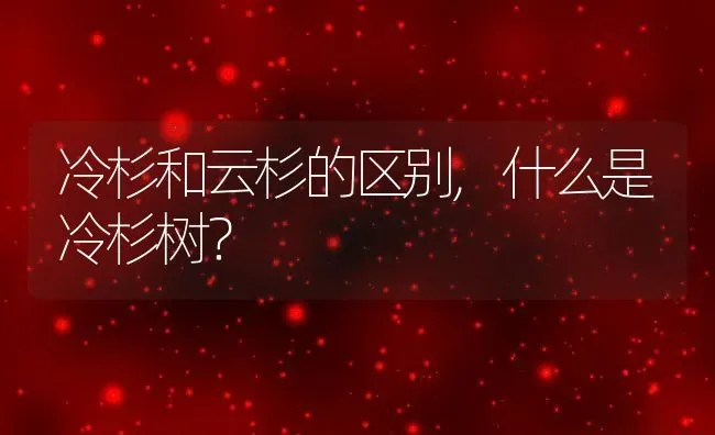 冷杉和云杉的区别,什么是冷杉树？ | 养殖常见问题