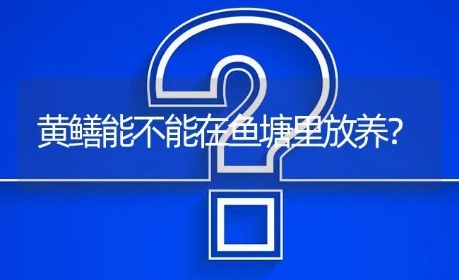 黄鳝能不能在鱼塘里放养? | 养殖问题解答