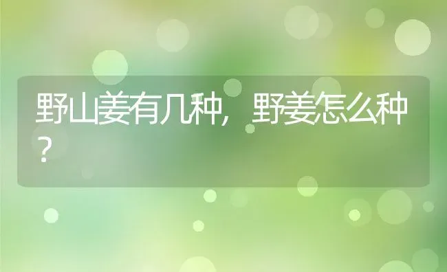 野山姜有几种,野姜怎么种？ | 养殖常见问题