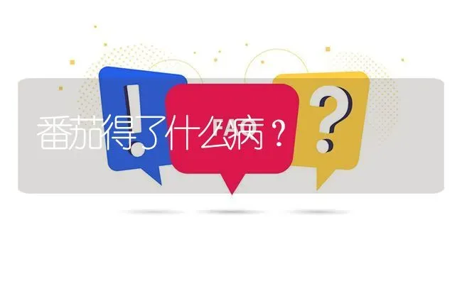 番茄得了什么病? | 养殖问题解答