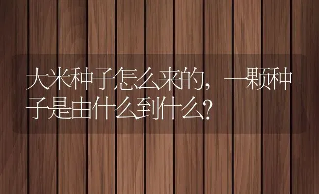 大米种子怎么来的,一颗种子是由什么到什么？ | 养殖常见问题