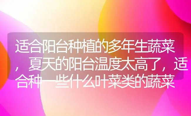 适合阳台种植的多年生蔬菜,夏天的阳台温度太高了，适合种一些什么叶菜类的蔬菜 | 养殖常见问题