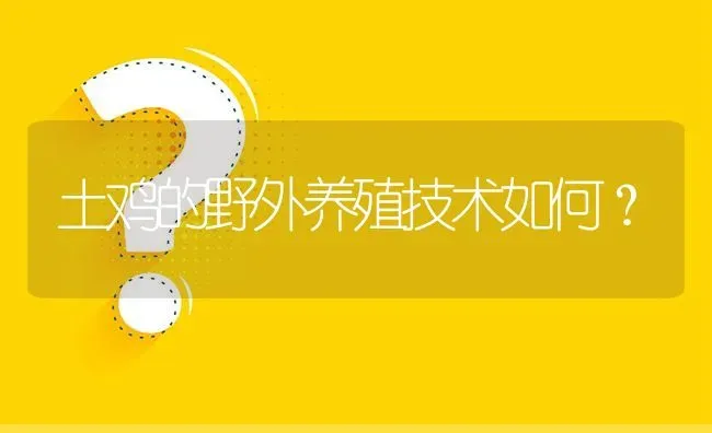 土鸡的野外养殖技术如何? | 养殖问题解答