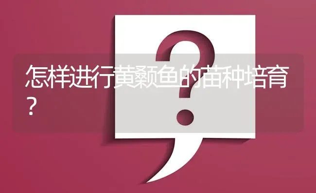 怎样进行黄颡鱼的苗种培育? | 养殖问题解答