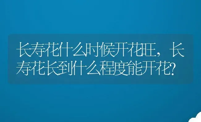 长寿花什么时候开花旺,长寿花长到什么程度能开花？ | 养殖常见问题