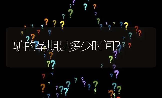 驴的孕期是多少时间? | 养殖问题解答