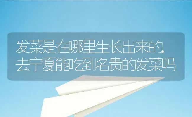 绿豆的生长过程,绿豆的生长过程 | 养殖常见问题