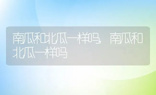 南瓜和北瓜一样吗,南瓜和北瓜一样吗 | 养殖常见问题