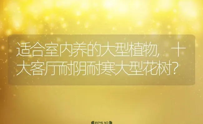 适合室内养的大型植物,十大客厅耐阴耐寒大型花树？ | 养殖常见问题
