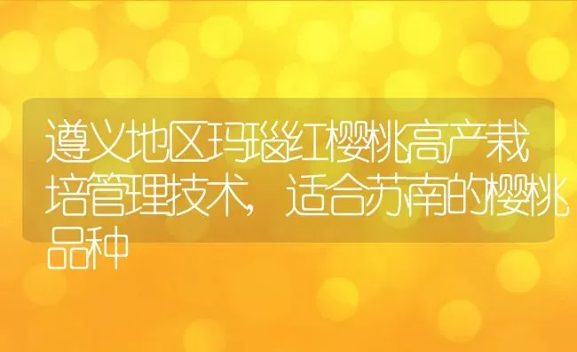 遵义地区玛瑙红樱桃高产栽培管理技术,适合苏南的樱桃品种 | 养殖常见问题