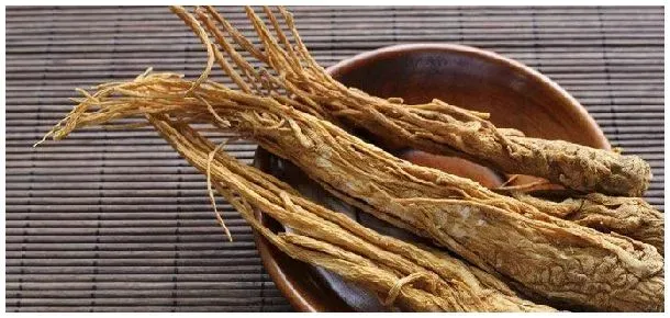 新鲜当归怎么保存 | 科普知识