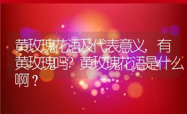 黄玫瑰花语及代表意义,有黄玫瑰吗?黄玫瑰花语是什么啊？ | 养殖常见问题