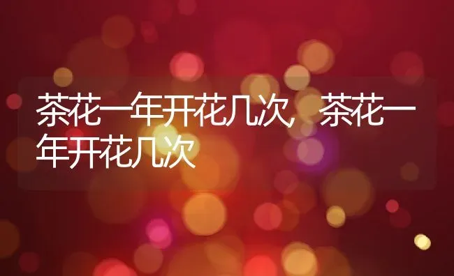 茶花一年开花几次,茶花一年开花几次 | 养殖常见问题