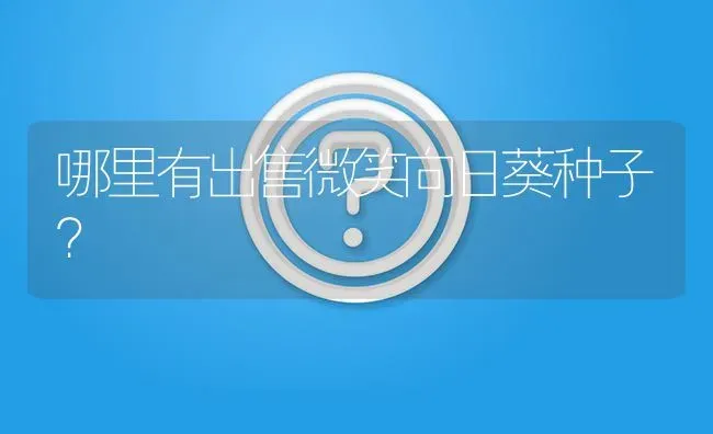 哪里有出售微笑向日葵种子? | 养殖问题解答