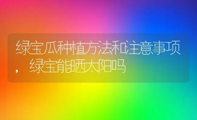 绿宝瓜种植方法和注意事项,绿宝能晒太阳吗 | 养殖常见问题