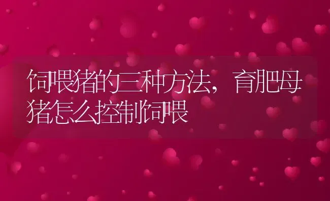 饲喂猪的三种方法,育肥母猪怎么控制饲喂 | 养殖常见问题