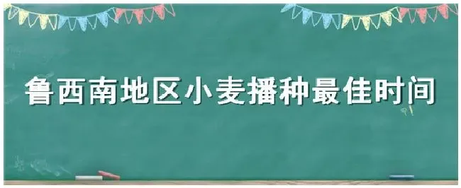 鲁西南地区小麦播种最佳时间 | 农业答疑