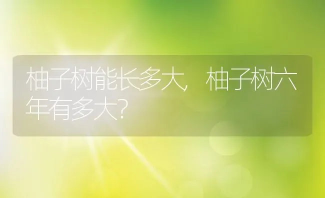 柚子树能长多大,柚子树六年有多大？ | 养殖常见问题