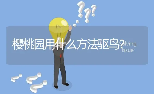 樱桃园用什么方法驱鸟? | 养殖问题解答