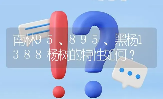 南林95、895、黑杨1388杨树的特性如何? | 养殖问题解答