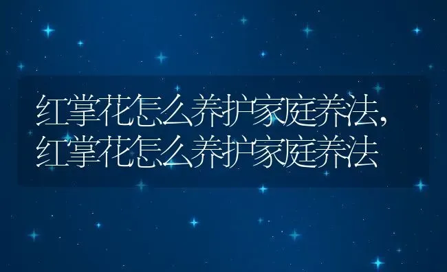 红掌花怎么养护家庭养法,红掌花怎么养护家庭养法 | 养殖常见问题