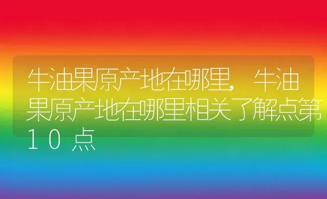 牛油果原产地在哪里,牛油果原产地在哪里相关了解点第10点 | 养殖常见问题