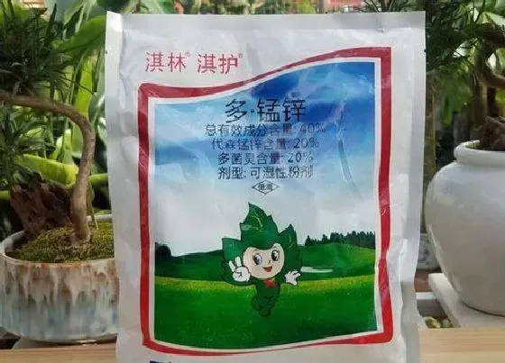 植物常识问题|兰花叶片问题为何用多菌灵没啥用