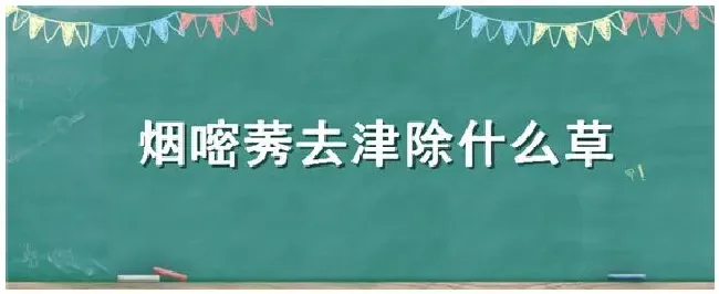 烟嘧莠去津除什么草 | 科普知识