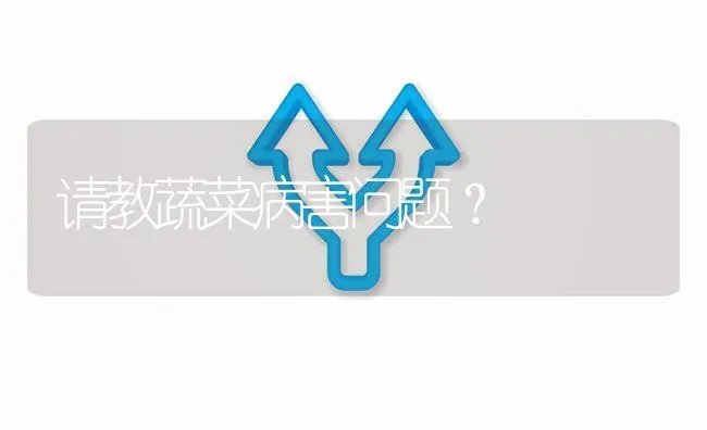 请教蔬菜病害问题? | 养殖问题解答