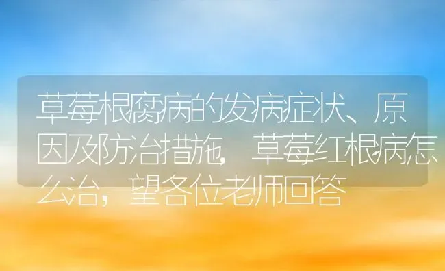 草莓根腐病的发病症状、原因及防治措施,草莓红根病怎么治，望各位老师回答 | 养殖常见问题