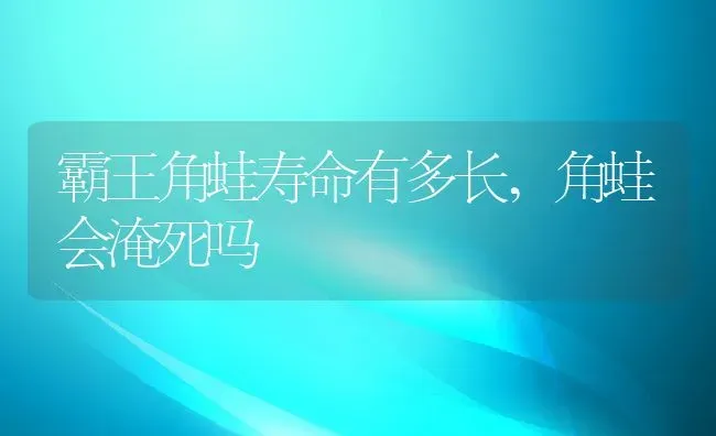 霸王角蛙寿命有多长,角蛙会淹死吗 | 养殖常见问题