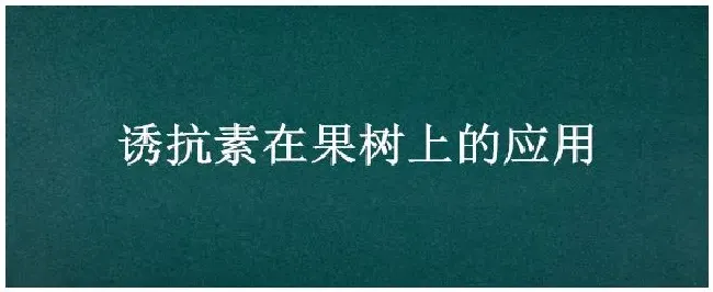 诱抗素在果树上的应用 | 三农答疑