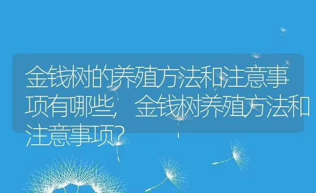 金钱树的养殖方法和注意事项有哪些,金钱树养殖方法和注意事项？ | 养殖常见问题