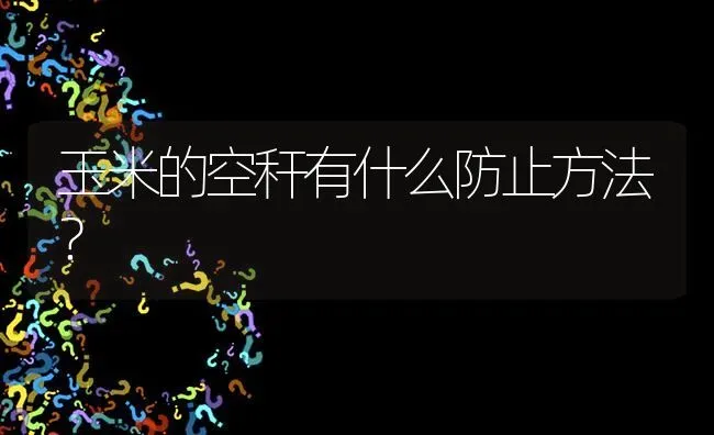 玉米的空秆有什么防止方法? | 养殖问题解答