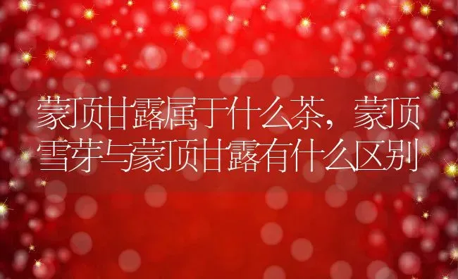 蒙顶甘露属于什么茶,蒙顶雪芽与蒙顶甘露有什么区别 | 养殖常见问题