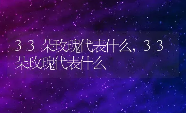 33朵玫瑰代表什么,33朵玫瑰代表什么 | 养殖常见问题
