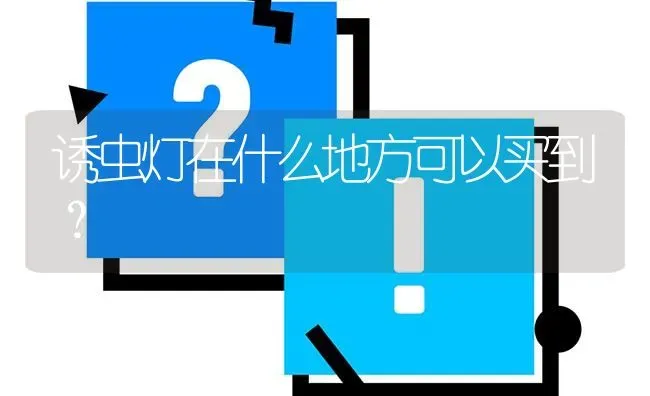 诱虫灯在什么地方可以买到? | 养殖问题解答