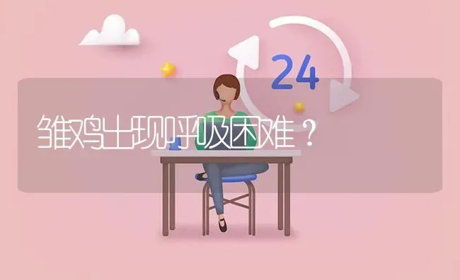 雏鸡出现呼吸困难? | 养殖问题解答